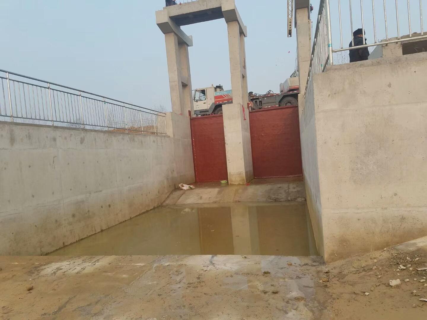 �T�F�����l�T